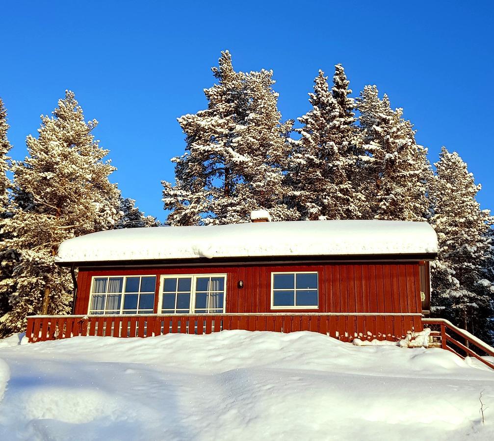 Amazing Sea View Lulea Luleå Exterior foto